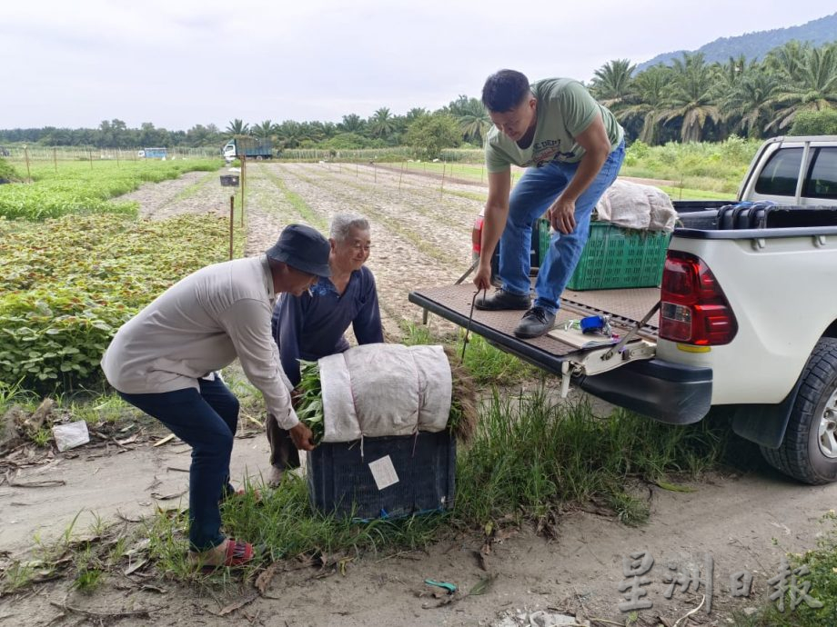 须一早排长龙登记 农民帮工延迟一小时开工