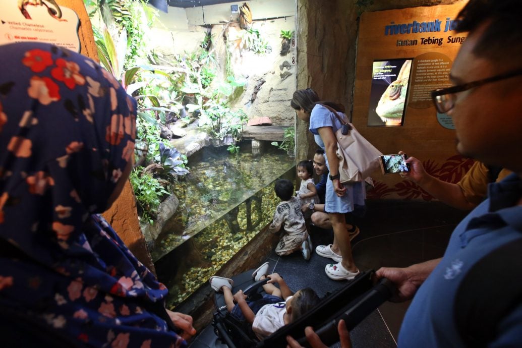 预编26日见报(大都会)半岛心旅游——双峰塔水族馆