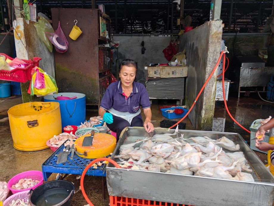 鸡贩留守至最后时刻 华林市宰鸡场明熄灯