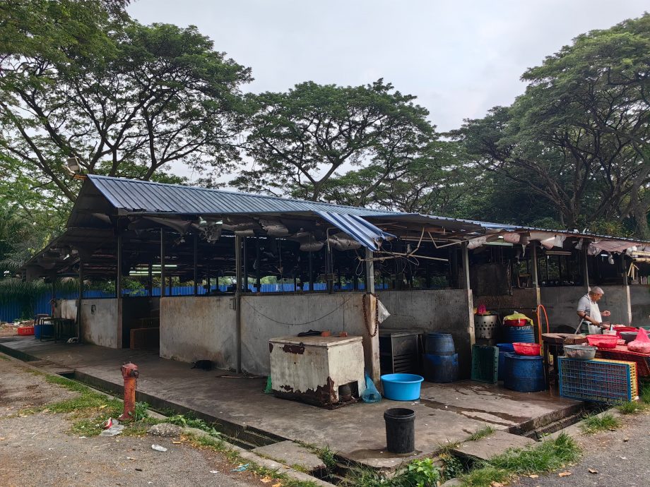 鸡贩留守至最后时刻 华林市宰鸡场明熄灯