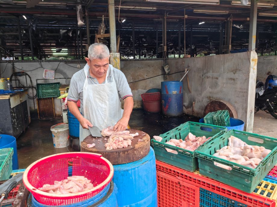 鸡贩留守至最后时刻 华林市宰鸡场明熄灯