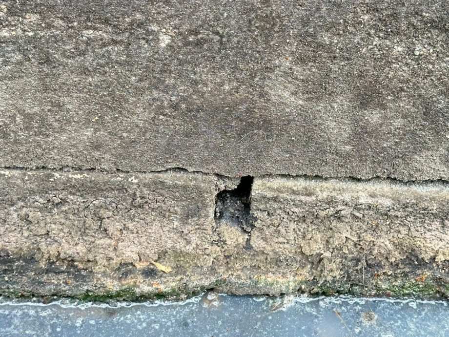 (古城封面主文)市政厅办“灭鼠”行动 每捉一只老鼠换4令吉