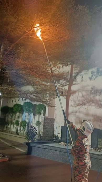 （古城封面副文）世遗公园出现蜜蜂窝，消拯局迅速行动摘除蜜蜂窝