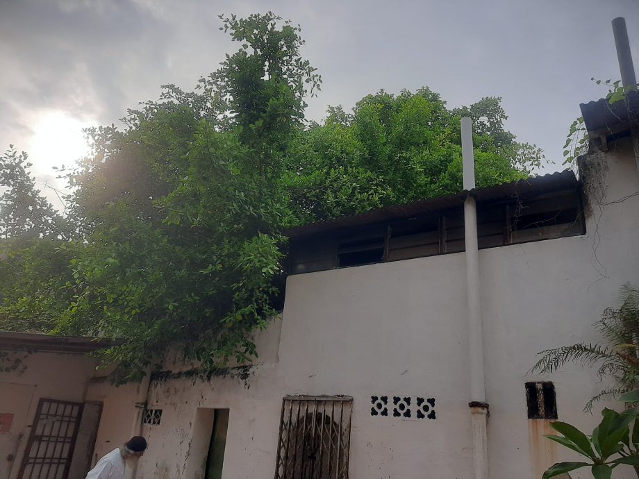 (古城封面副文)世遗老街区有20间荒屋 陈劲源促市厅加强执法管制荒屋问题