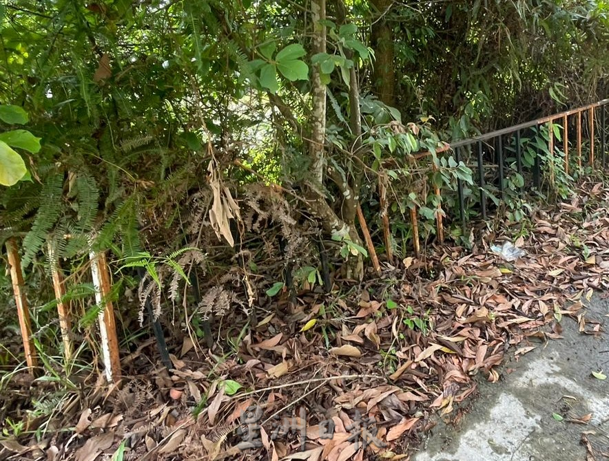 (古城封面副文)住宅花园围栏生锈断裂恐对居民安全构威胁