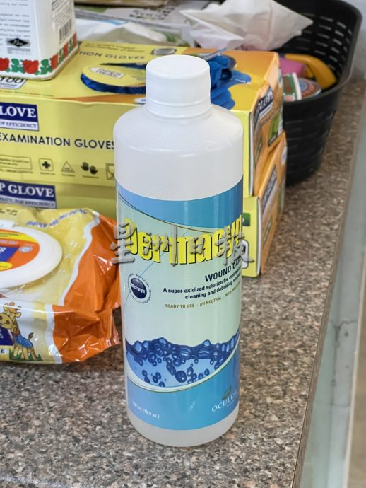 (古城版封面主文) 妇人截肢孩子辞工照顾·盼公众伸出援手