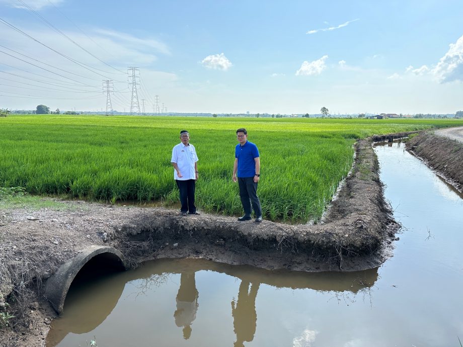 (古城版)林万锋
