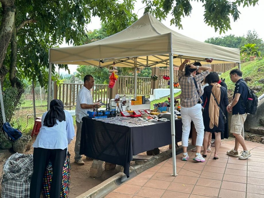 (古城第三版主文)圣保罗山垃圾塞树身 草地留下西瓜皮