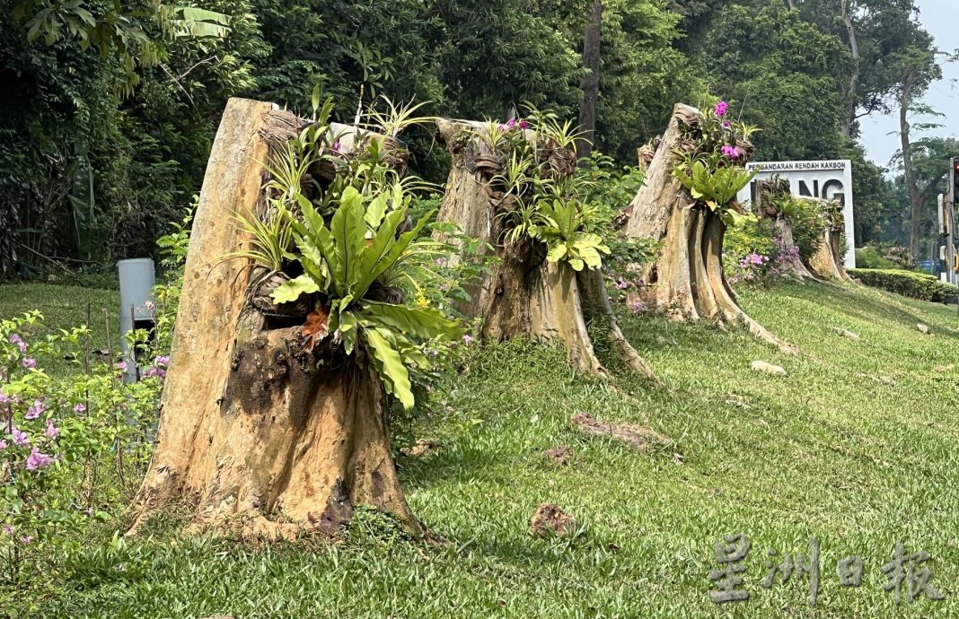 （古城第二版主文）【带你去找爱】：枯木逢春的爱