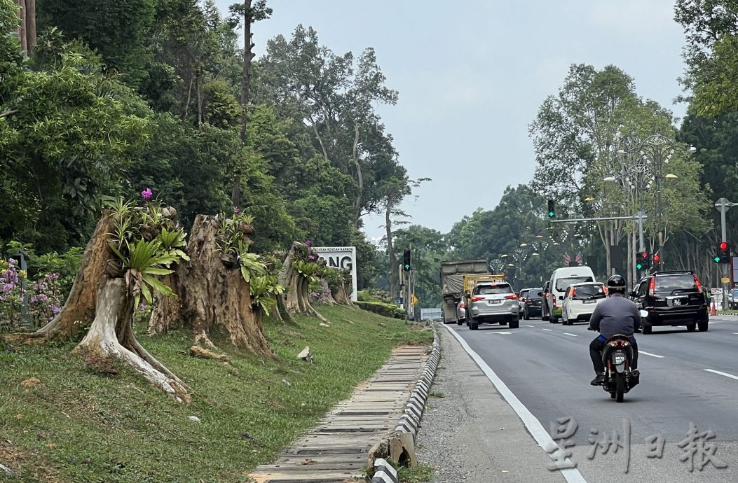 （古城第二版主文）【带你去找爱】：枯木逢春的爱