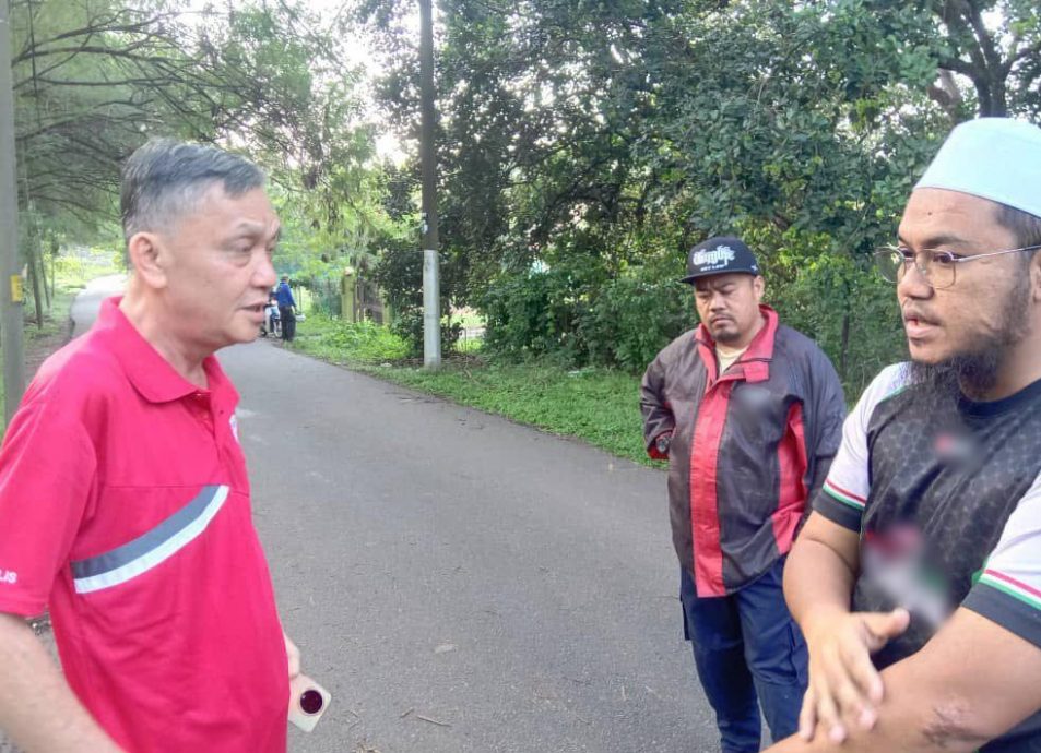 (古城第六版主文)市议会对甘榜江沙清洁活动,修剪枝桠及清除丛林,防止蚊虫滋生及有害动物藏身