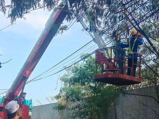 (古城第六版主文)市议会对甘榜江沙清洁活动,修剪枝桠及清除丛林,防止蚊虫滋生及有害动物藏身
