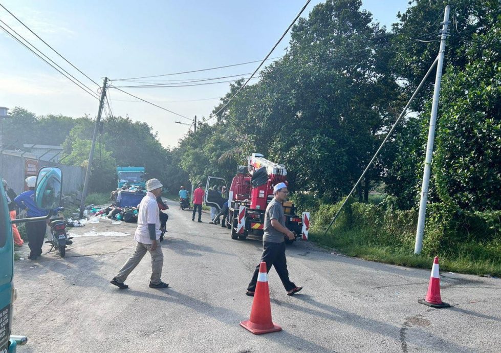 (古城第六版主文)市议会对甘榜江沙清洁活动,修剪枝桠及清除丛林,防止蚊虫滋生及有害动物藏身