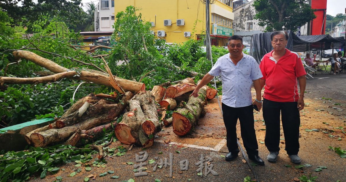 (古城)三宝井百年老树的树杆凌晨风雨中断裂,阻挡去路