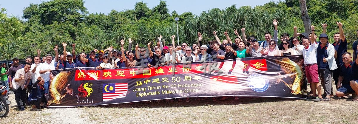 (大北马封面)大马与中国 2龙鱼组织 回放400只金龙鱼入河 为保育献力