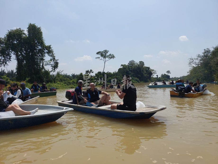 (大北马封面)大马与中国 2龙鱼组织 回放400只金龙鱼入河 为保育献力