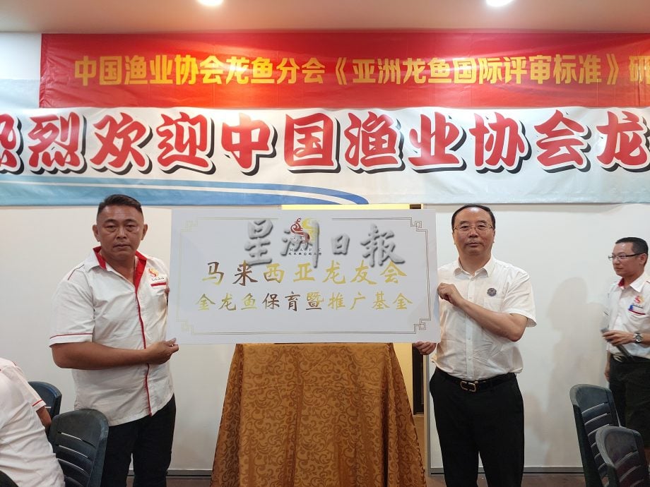 (大北马封面)大马与中国 2龙鱼组织 回放400只金龙鱼入河 为保育献力