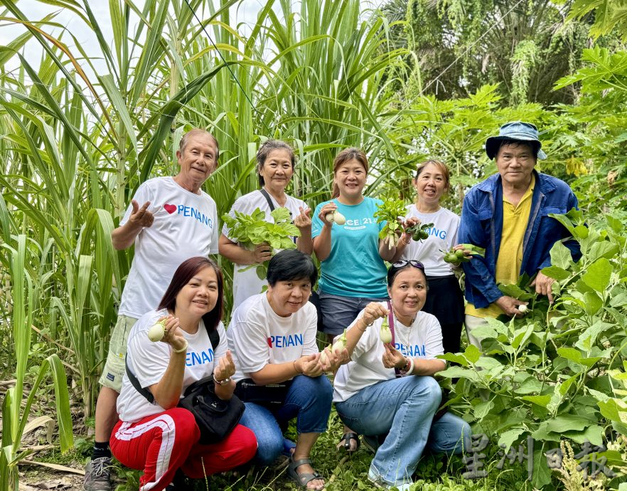 (大北马/绿量)双溪槟榔邻里公园Taman Areca尾端的菜园
