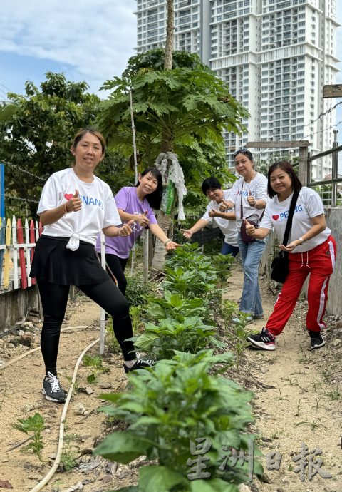 (大北马/绿量)双溪槟榔邻里公园Taman Areca尾端的菜园