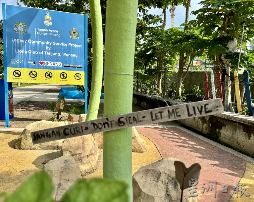 (大北马/绿量)双溪槟榔邻里公园Taman Areca尾端的菜园