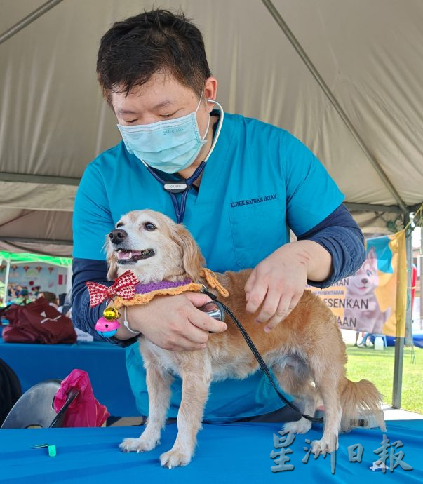(大北马)亚罗士打“拯救流浪狗”活动上,免费为50只宠物狗接种狂犬病疫苗。