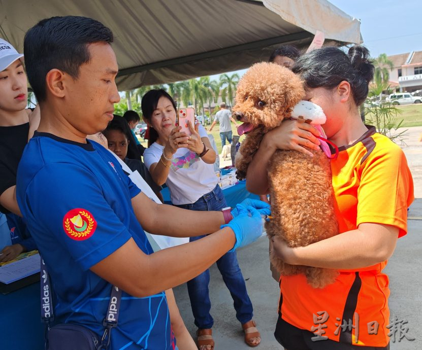 (大北马)亚罗士打“拯救流浪狗”活动上,免费为50只宠物狗接种狂犬病疫苗。