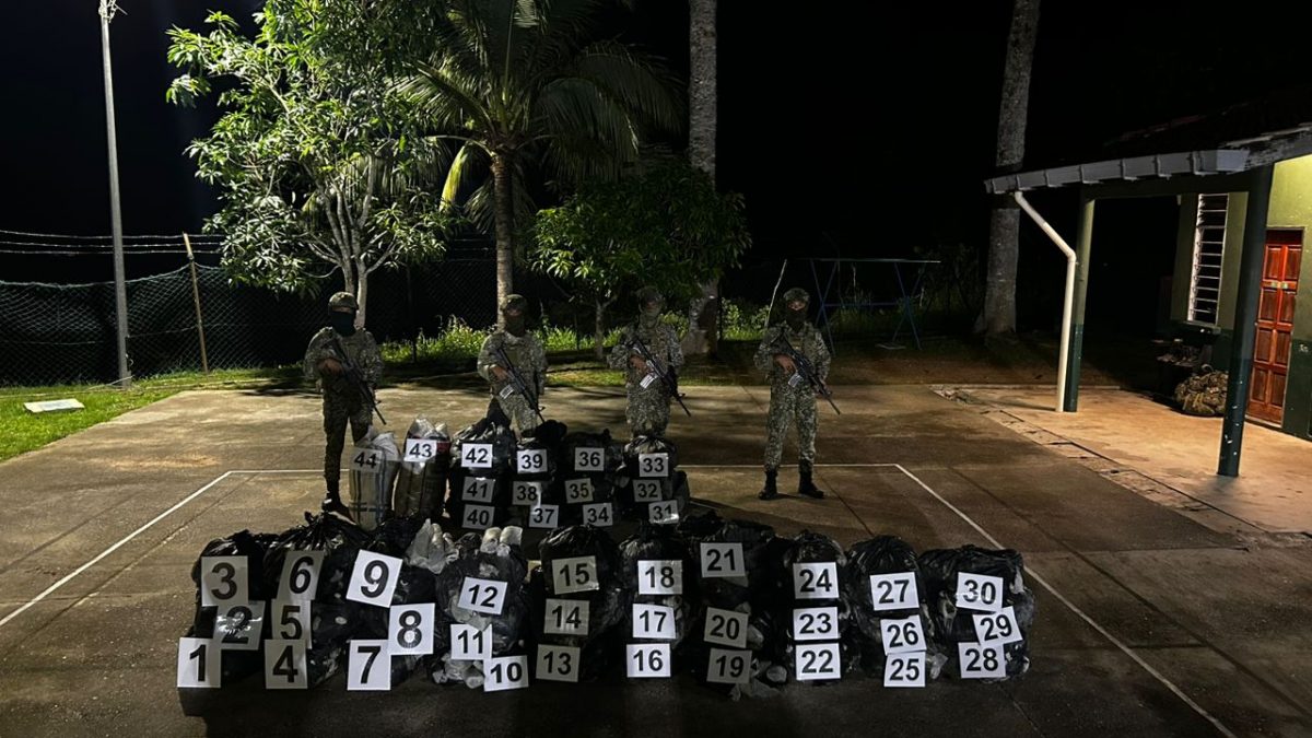 (大北马)步兵起获455公斤哥冬叶