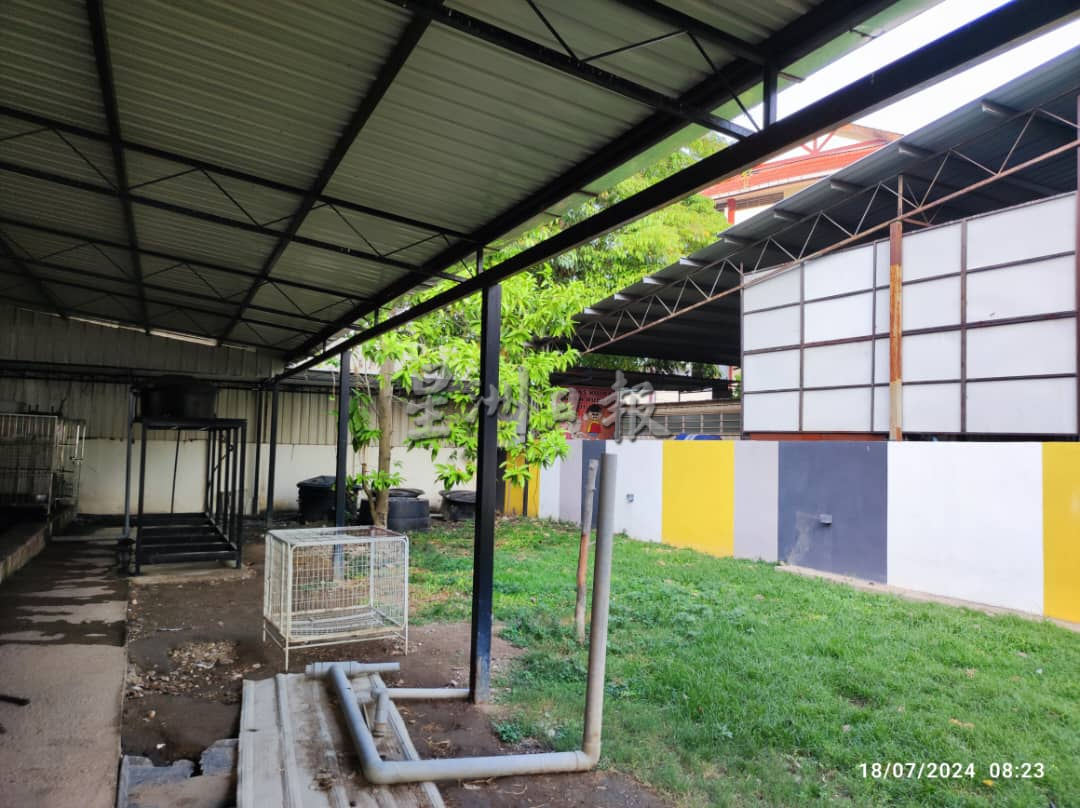 +（大北马）流浪狗管制中心被投诉噪音影响毗邻学校　市政厅或探讨迁移他处　