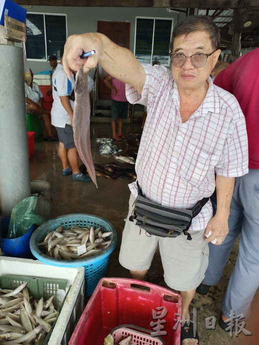 (大北马)高渊港口渔获码头白虾盛产