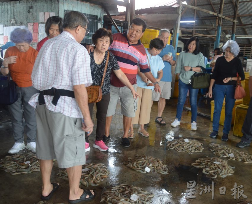 (大北马)高渊港口渔获码头白虾盛产