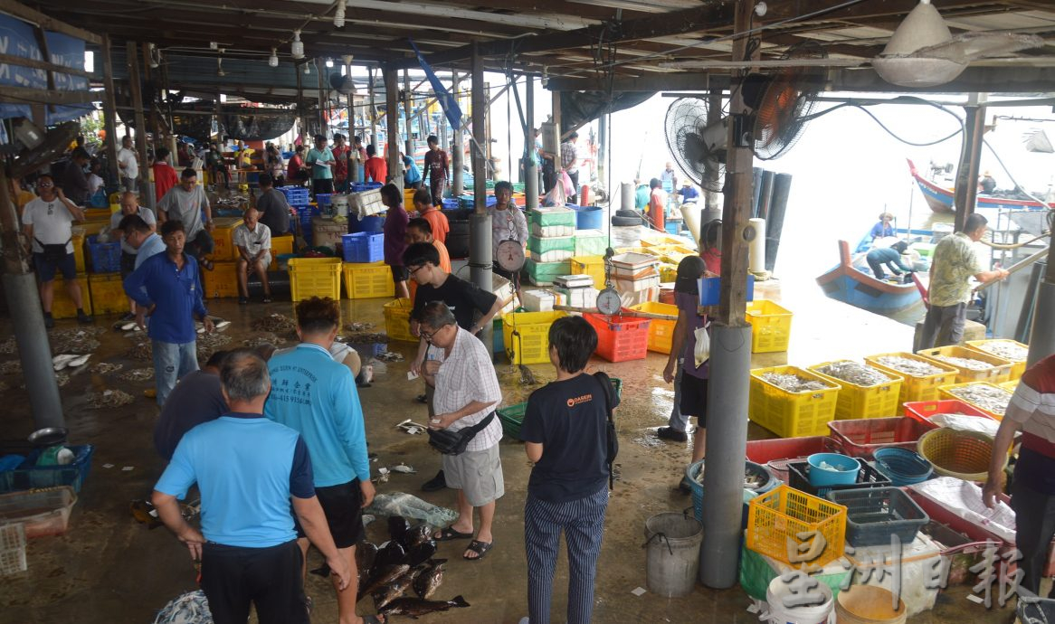 (大北马)高渊港口渔获码头白虾盛产