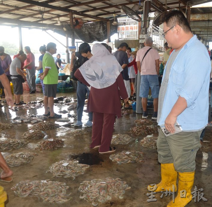 (大北马)高渊港口渔获码头白虾盛产