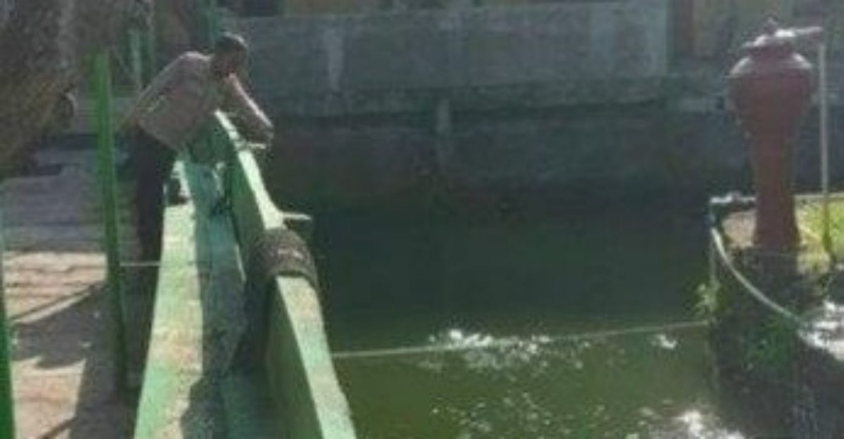 18岁生日被恶搞,男子被扔进池里触电死