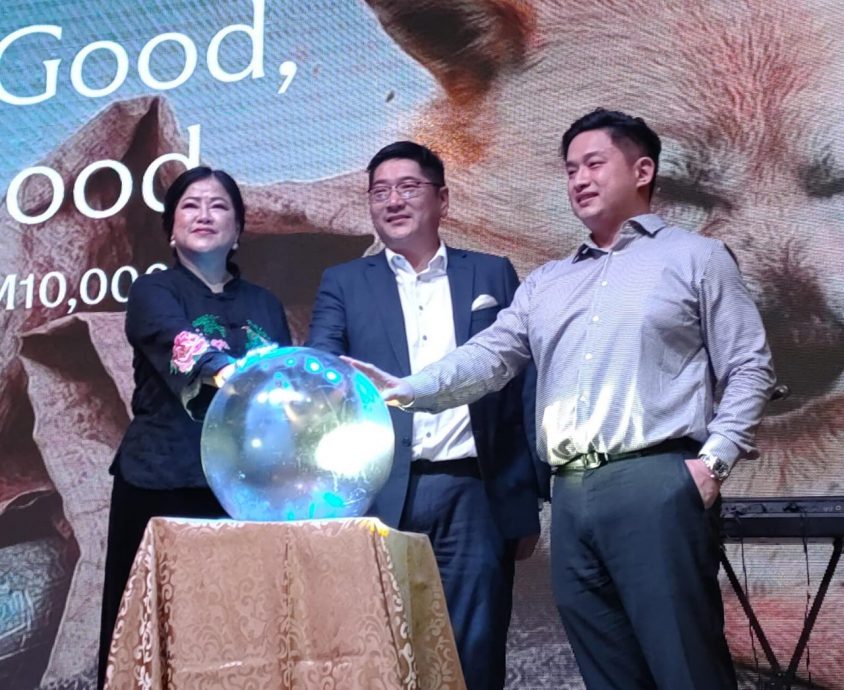 (已签发)柔:收留1000余只毛孩费用庞大,麻爱心流浪狗协会冀公众捐助