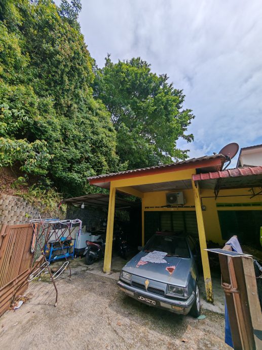 (已签发)柔:民生特工队:峇伏龙山庄山坡“危树”,威胁逾百户居民安全