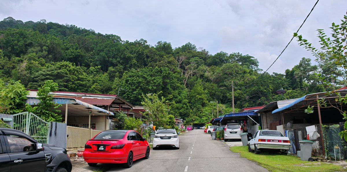 (已签发)柔:民生特工队:峇伏龙山庄山坡“危树”,威胁逾百户居民安全