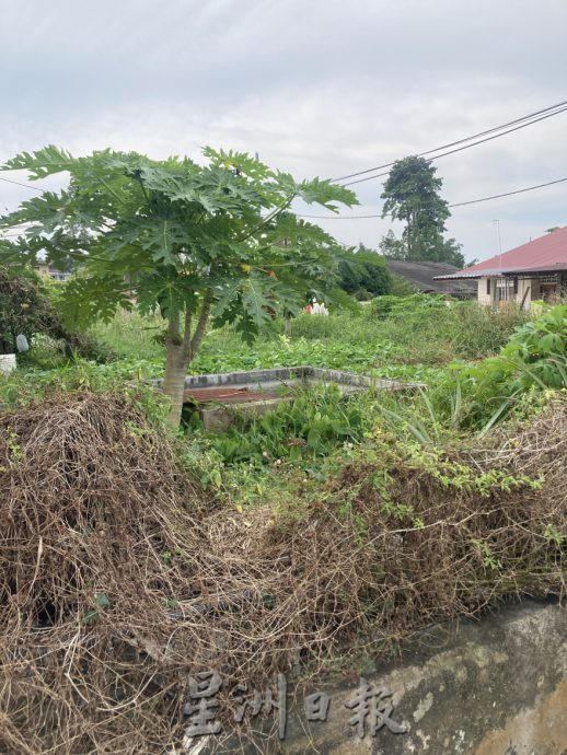 (已签发)柔:民生特工队:拉美士逾20住宅废置 长满野草严重扰民