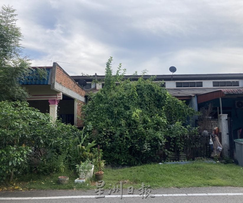 (已签发)柔:民生特工队:拉美士逾20住宅废置 长满野草严重扰民