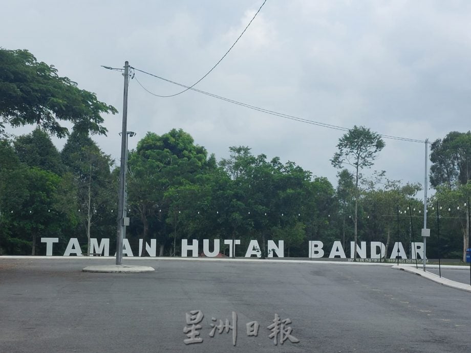 (已签发)柔:特稿:美化工程初见雏形 新邦令金将大变身