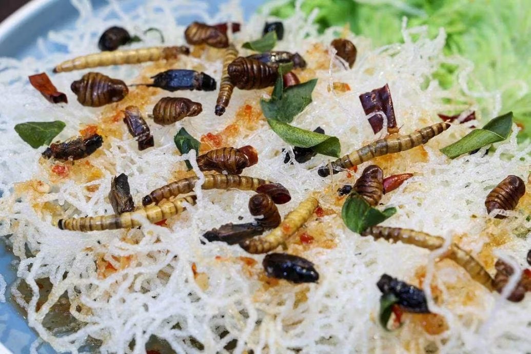 (已签发)柔:狮城二三事:16种昆虫食品 即日起可在狮城上架