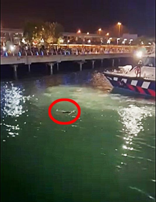 (已签发)柔:狮城二三事:31岁女子落水 民防跳水救人