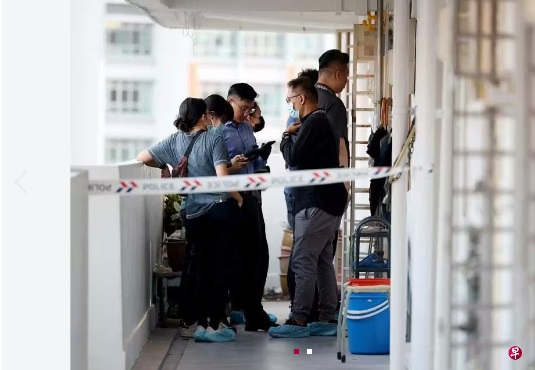 (已签发)柔:狮城二三事:两年探访屡无应门 妹报警惊揭兄化白骨 