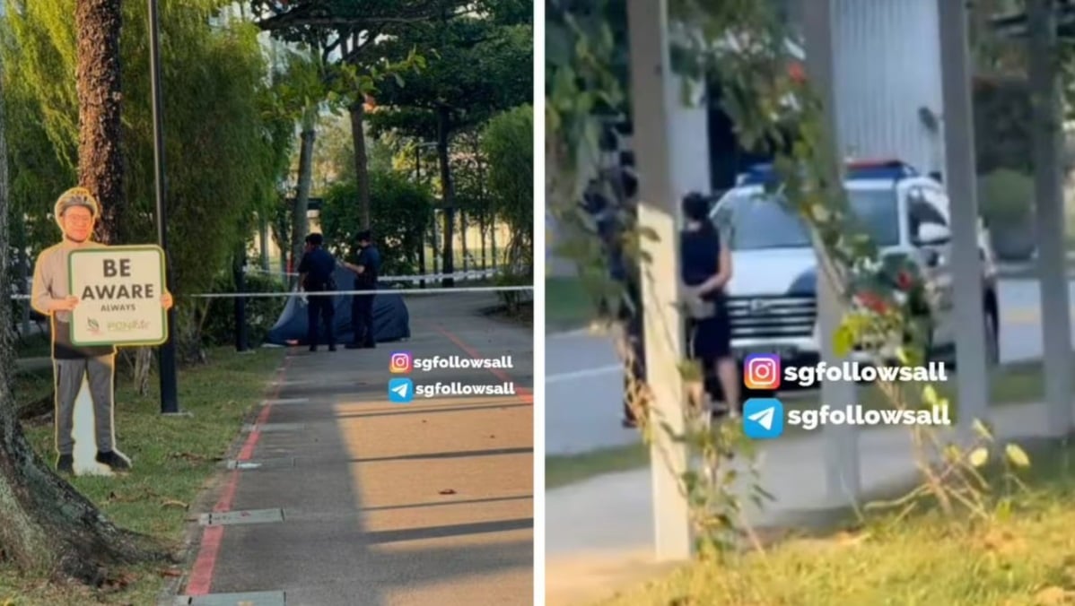 (已签发)柔:狮城二三事:中年男子卧尸湖畔公园连道 狮城警方排除他杀