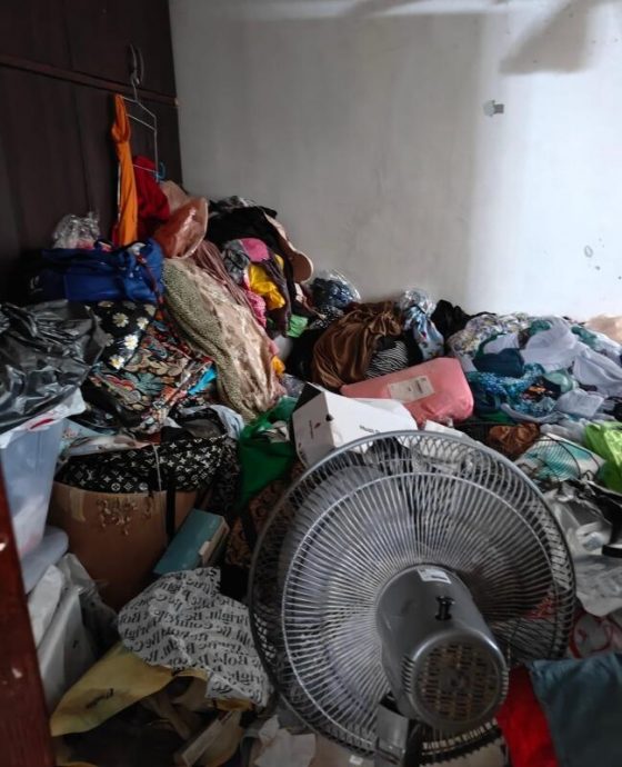  （已签发）柔：狮城二三事：住家养47猫脏又臭 屋主也住不下去 义工上门帮清理