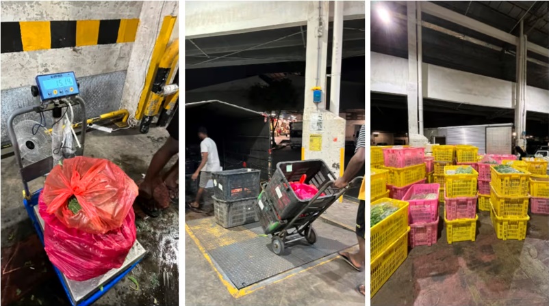 (已签发)柔:狮城二三事:兀兰关卡查获一公吨非法进口生鲜和加工食品