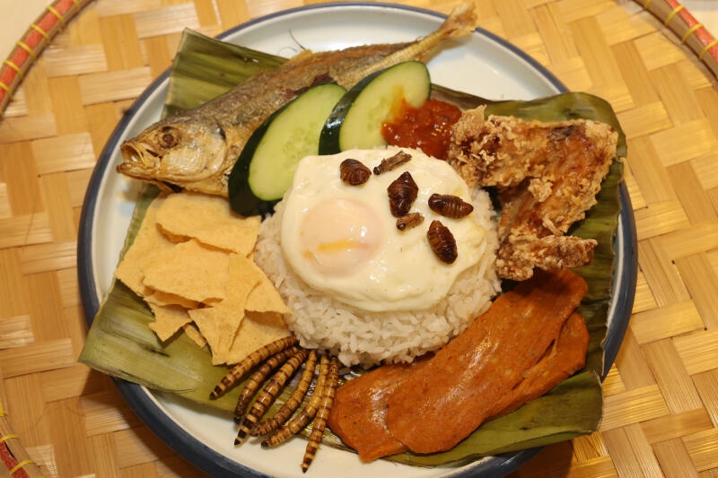 (已签发)柔:狮城二三事:当局昨刚批 食客争尝昆虫餐 医生:若过敏即时求医