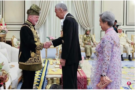 我国元首登基,新加坡资政:马新关系将续蓬勃发展