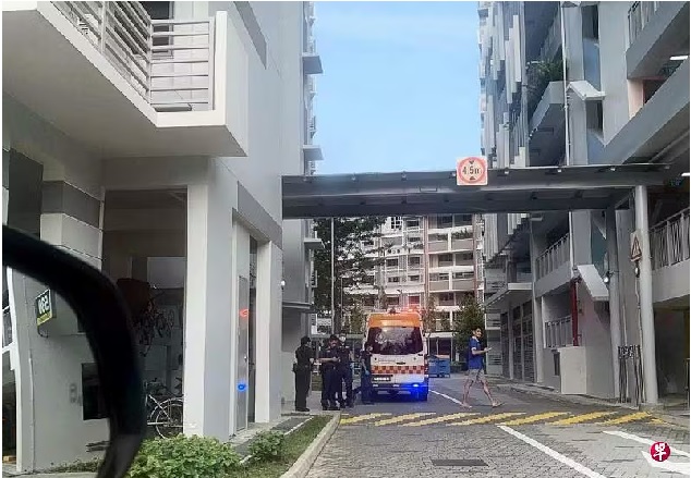 (已签发)柔:狮城二三事:新加坡组屋停车场“谈判” 12少年围殴一人致伤入院被捕
