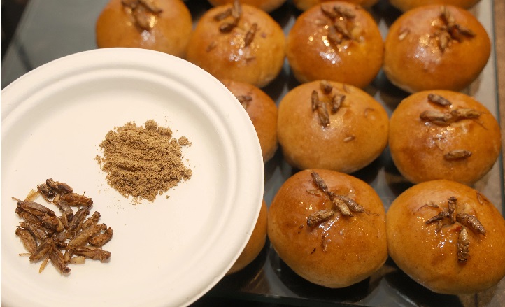 (已签发)柔:狮城二三事:昆虫食品登新加坡餐桌 标签指导原则料明年出炉