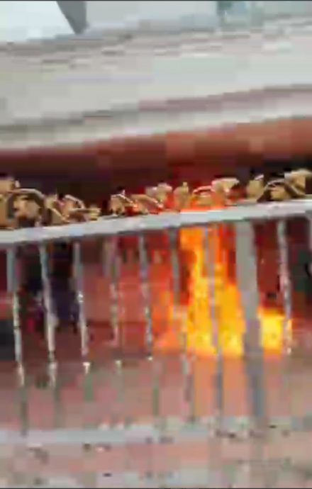 (已签发)柔:视频:拟网贷购金饰,狮城工作大马女子被骗1.5万